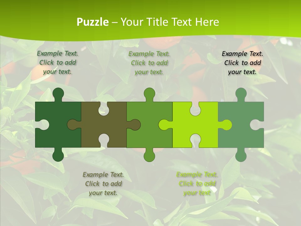 Citrus Growers Farm PowerPoint Template