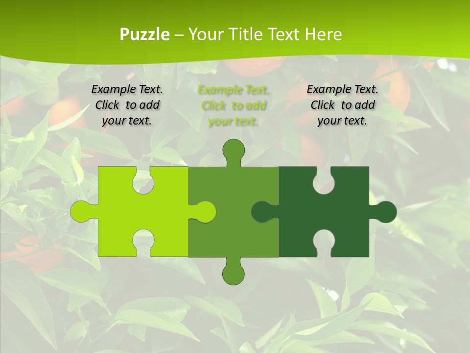 Citrus Growers Farm PowerPoint Template