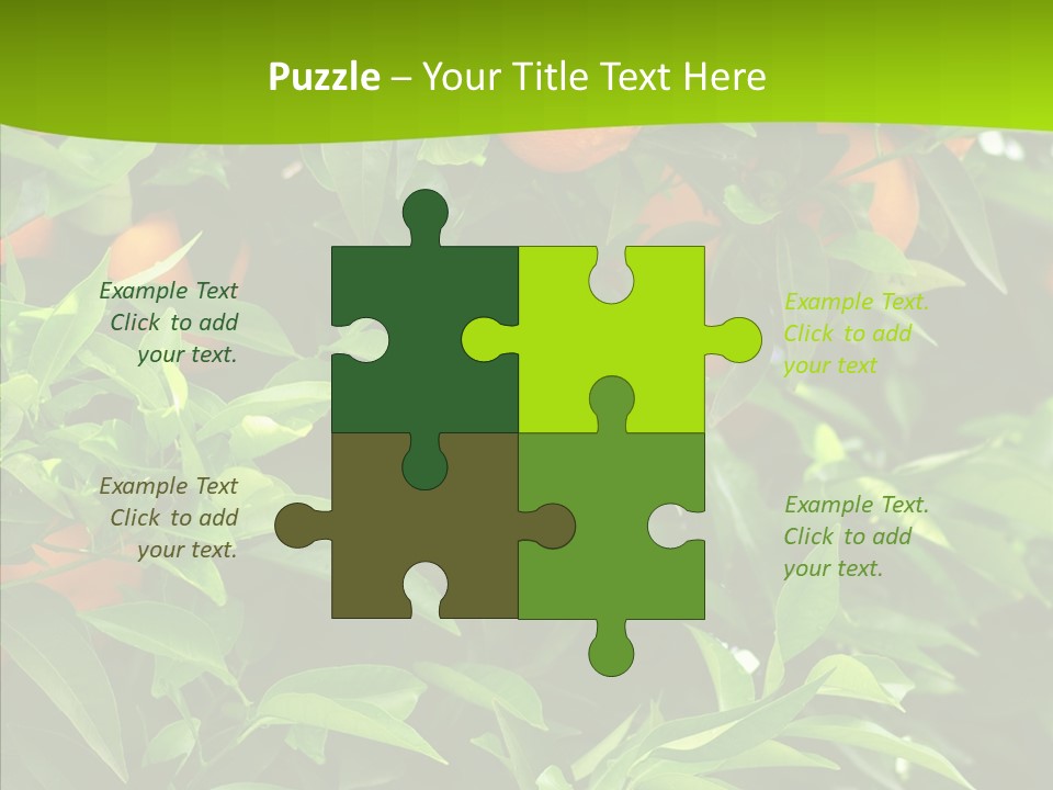 Citrus Growers Farm PowerPoint Template