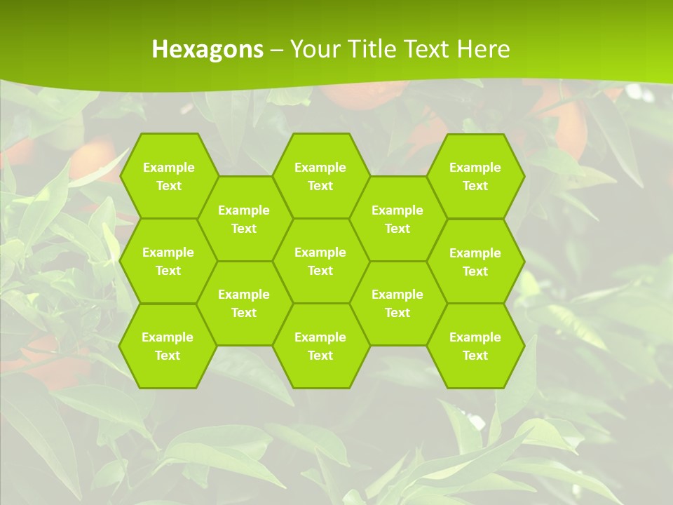 Citrus Growers Farm PowerPoint Template