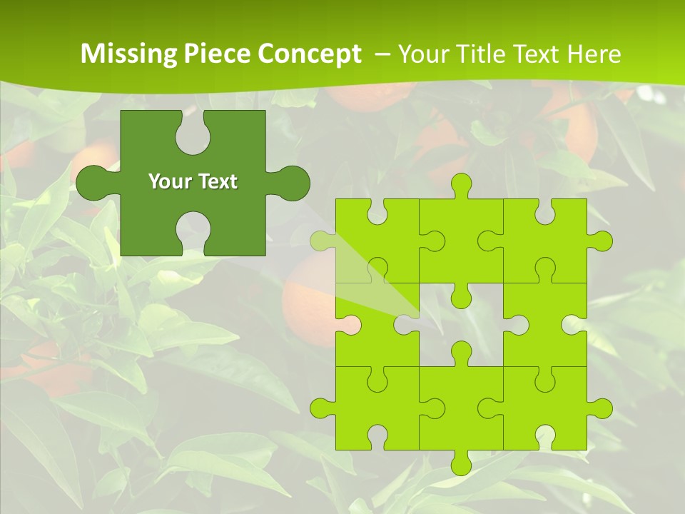 Citrus Growers Farm PowerPoint Template