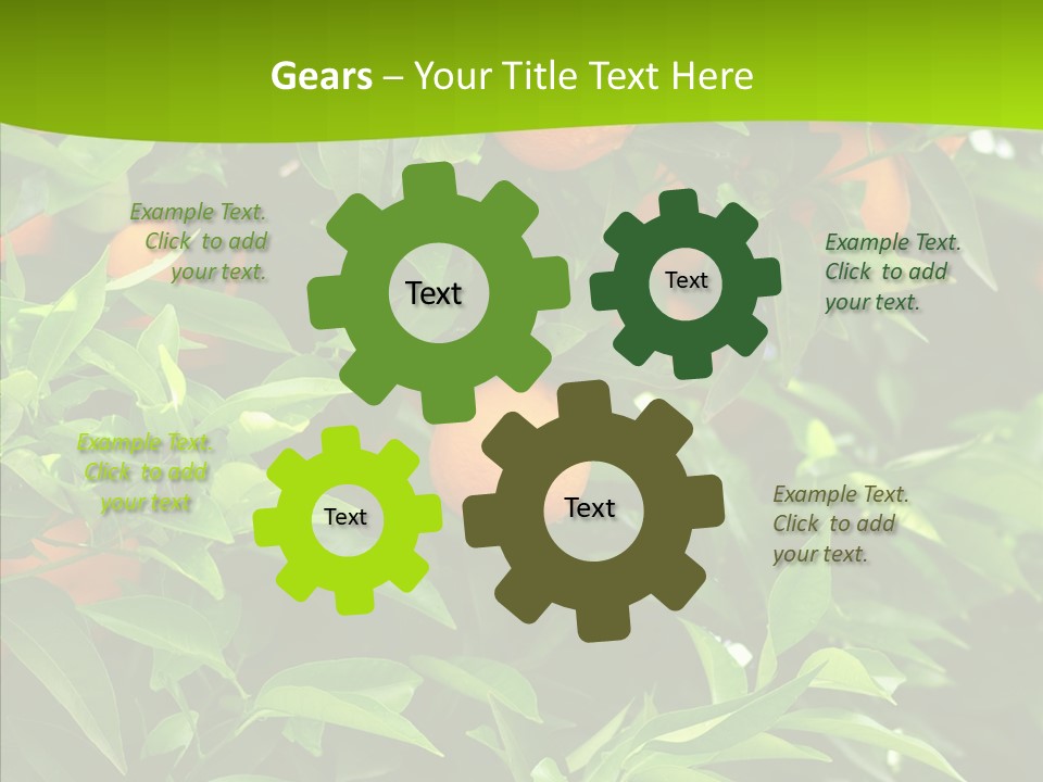 Citrus Growers Farm PowerPoint Template