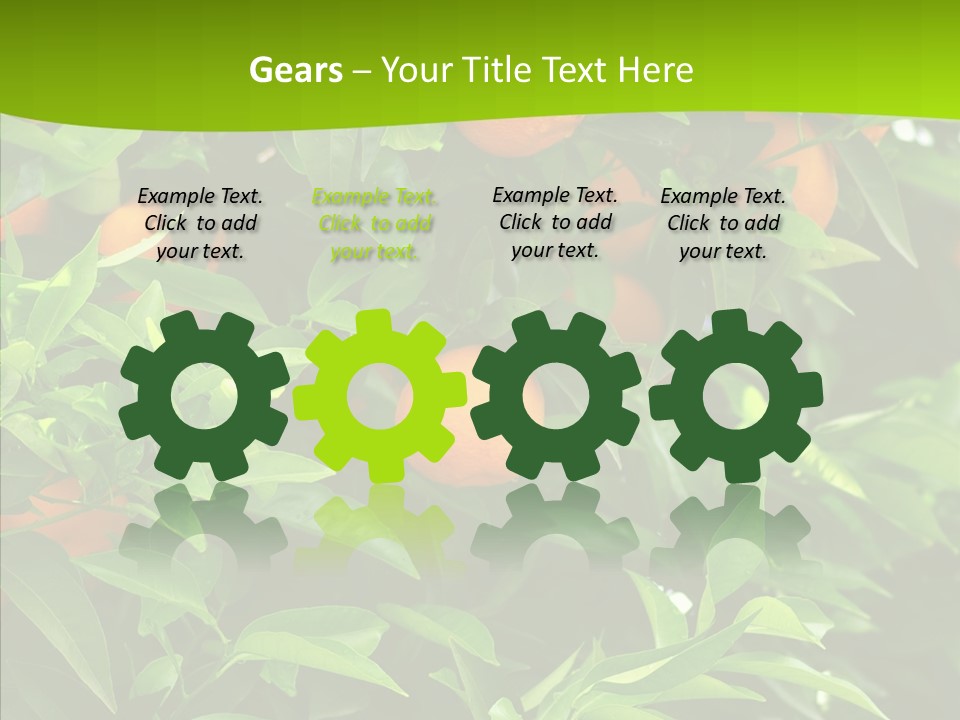 Citrus Growers Farm PowerPoint Template