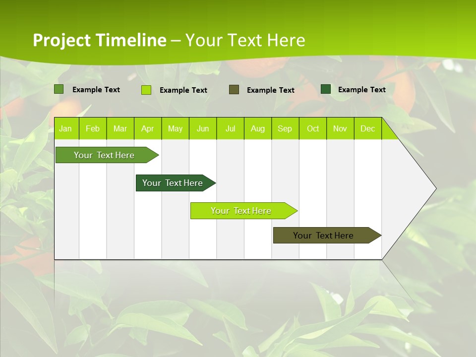 Citrus Growers Farm PowerPoint Template