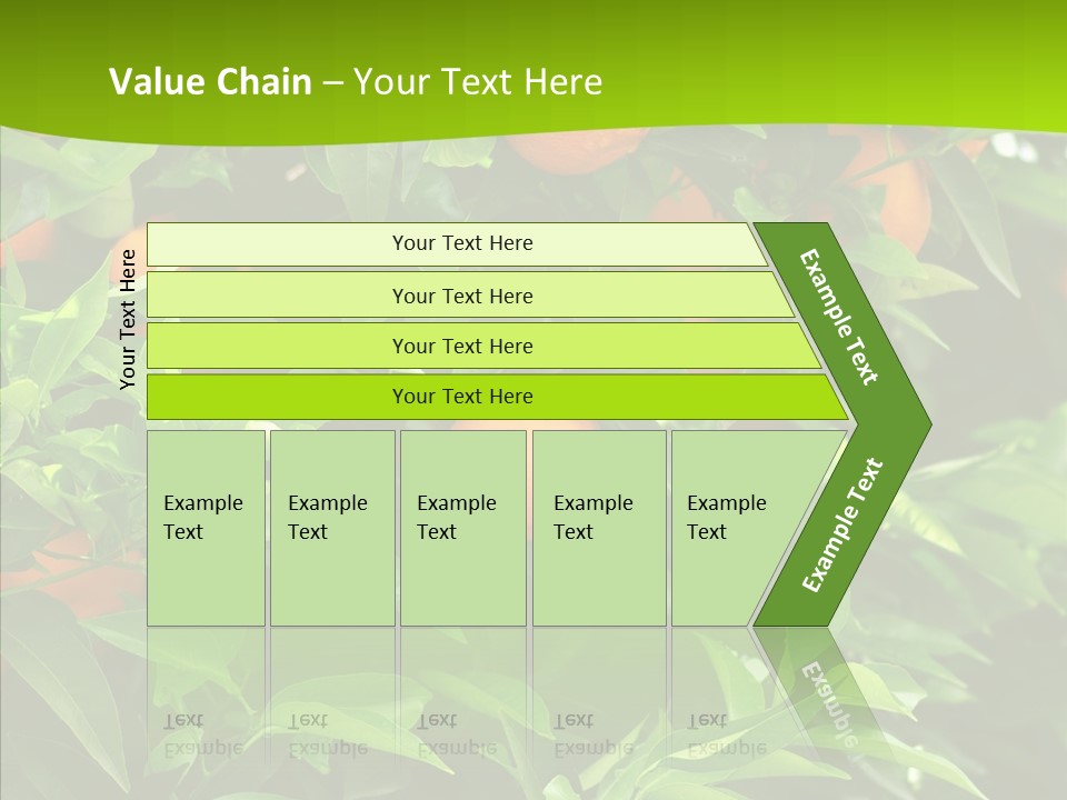 Citrus Growers Farm PowerPoint Template