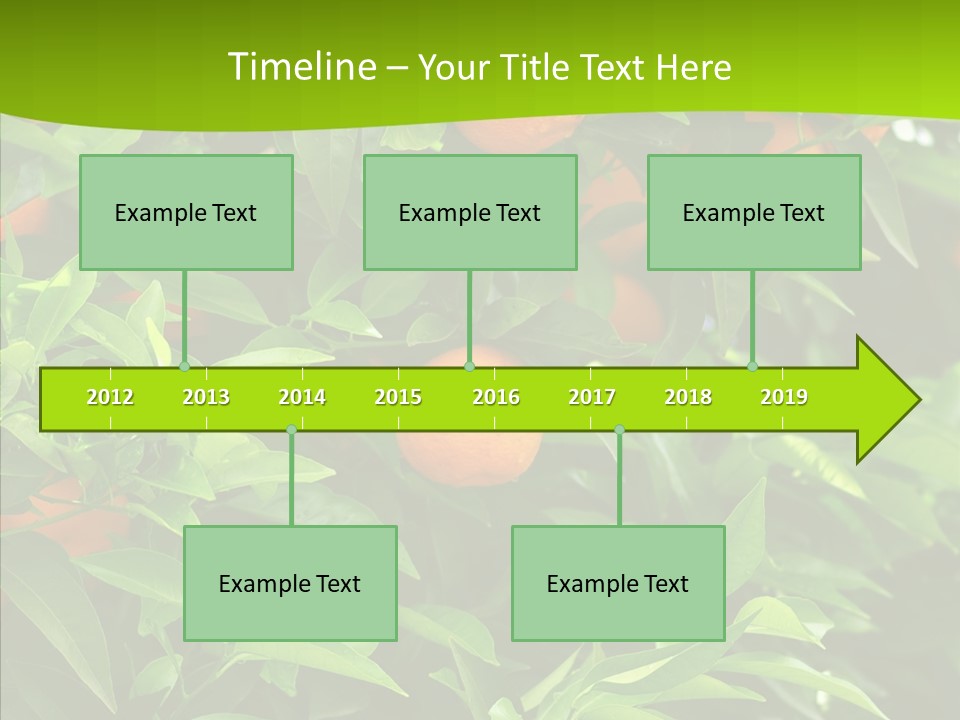 Citrus Growers Farm PowerPoint Template