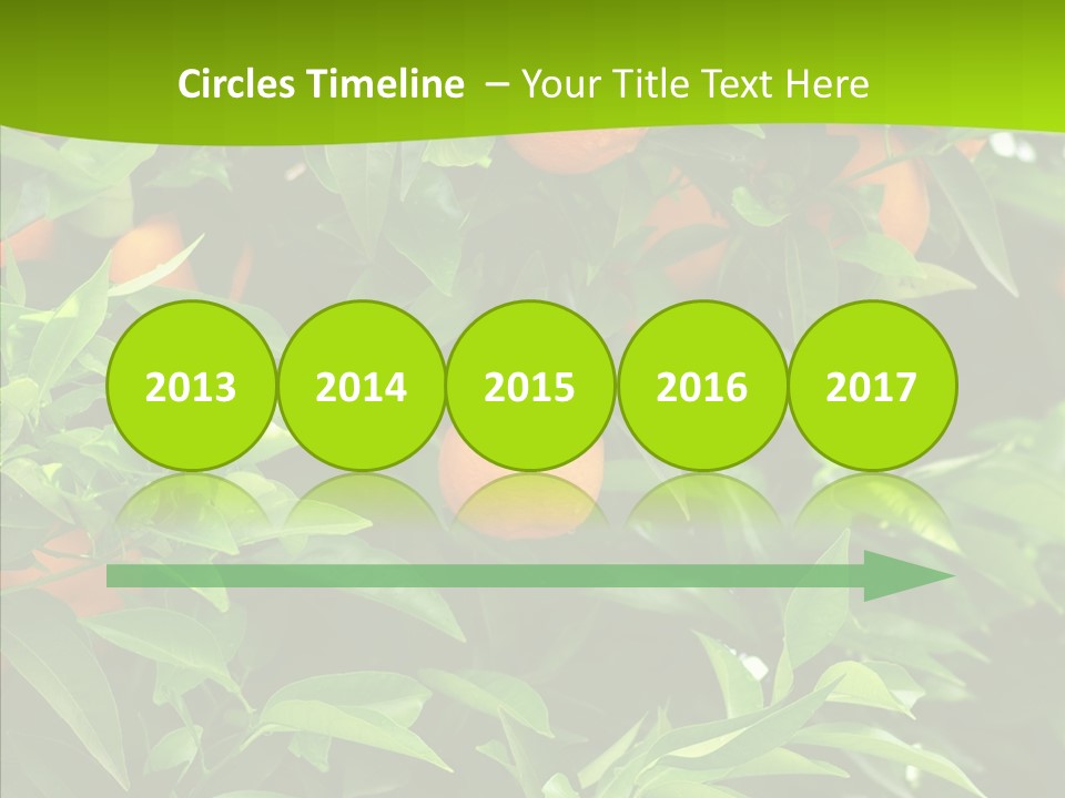 Citrus Growers Farm PowerPoint Template