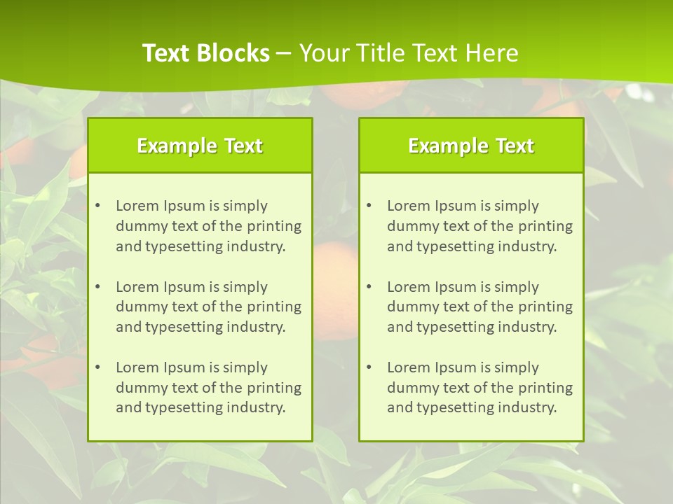 Citrus Growers Farm PowerPoint Template