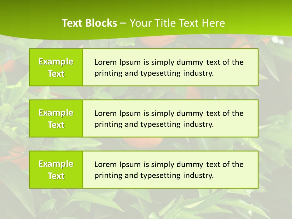 Citrus Growers Farm PowerPoint Template