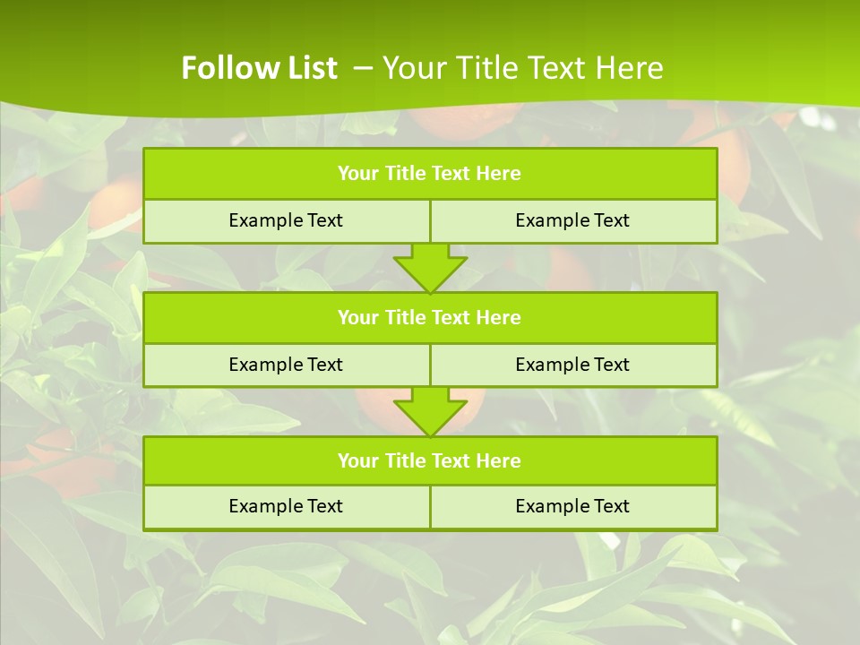 Citrus Growers Farm PowerPoint Template