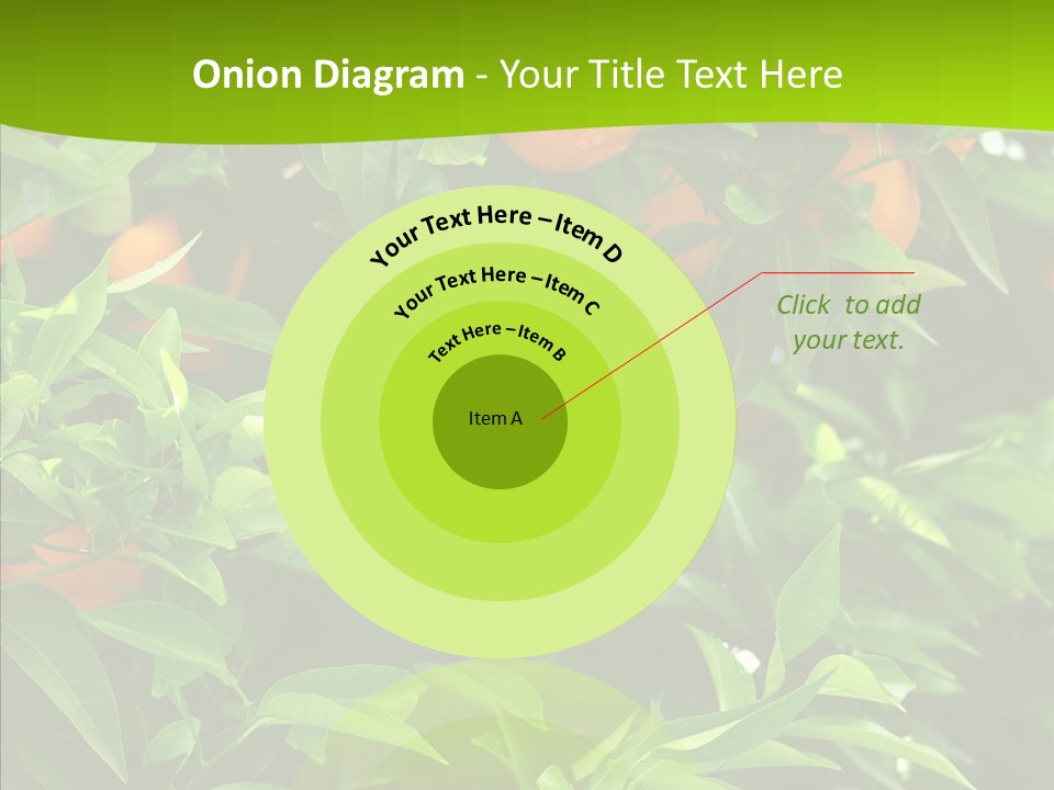 Citrus Growers Farm PowerPoint Template
