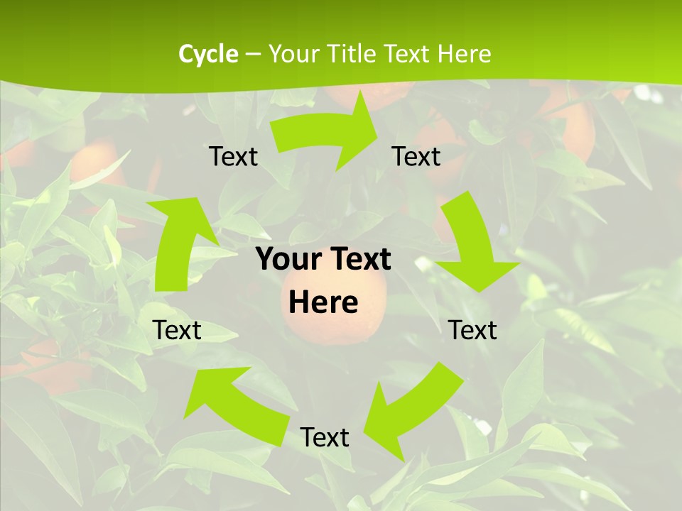 Citrus Growers Farm PowerPoint Template