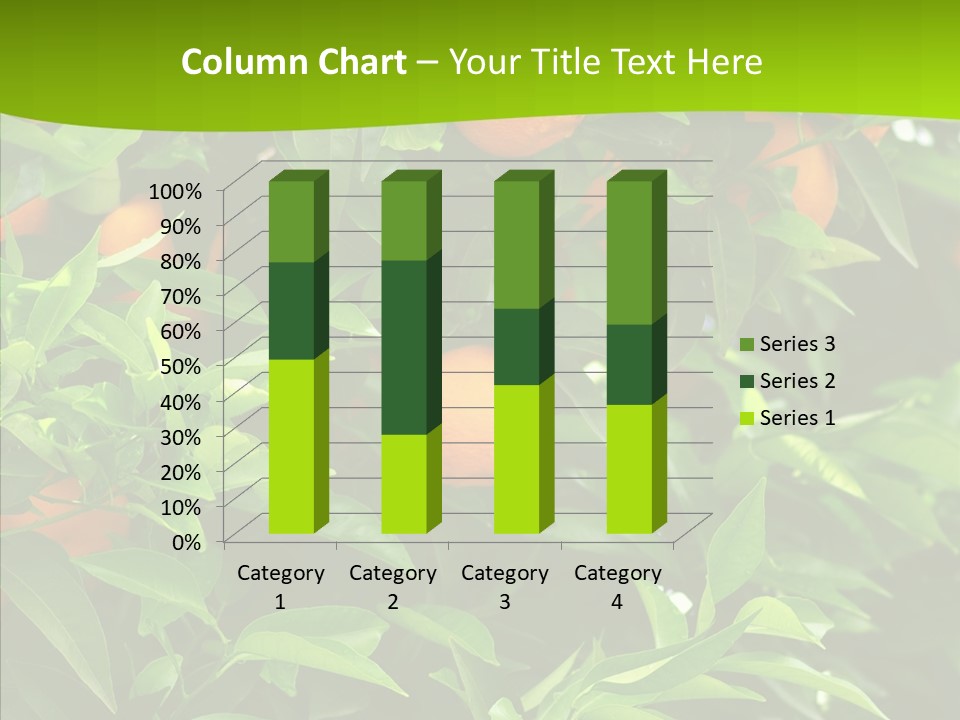 Citrus Growers Farm PowerPoint Template