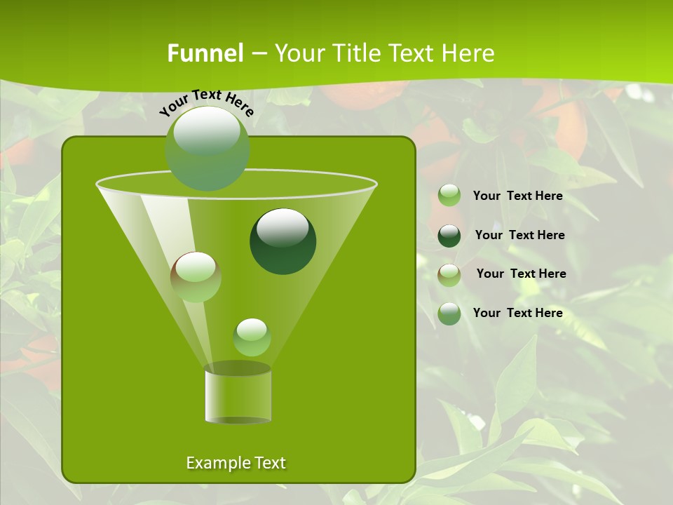 Citrus Growers Farm PowerPoint Template