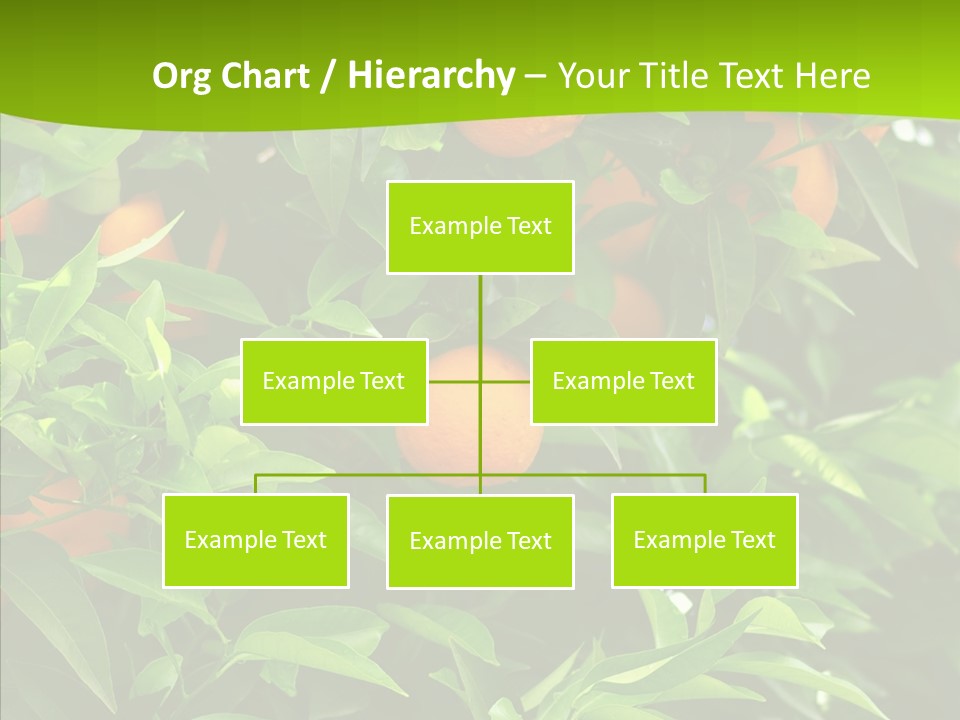 Citrus Growers Farm PowerPoint Template