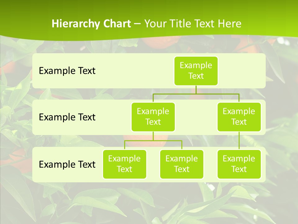 Citrus Growers Farm PowerPoint Template