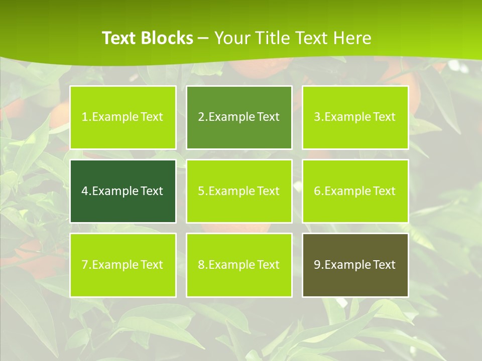 Citrus Growers Farm PowerPoint Template