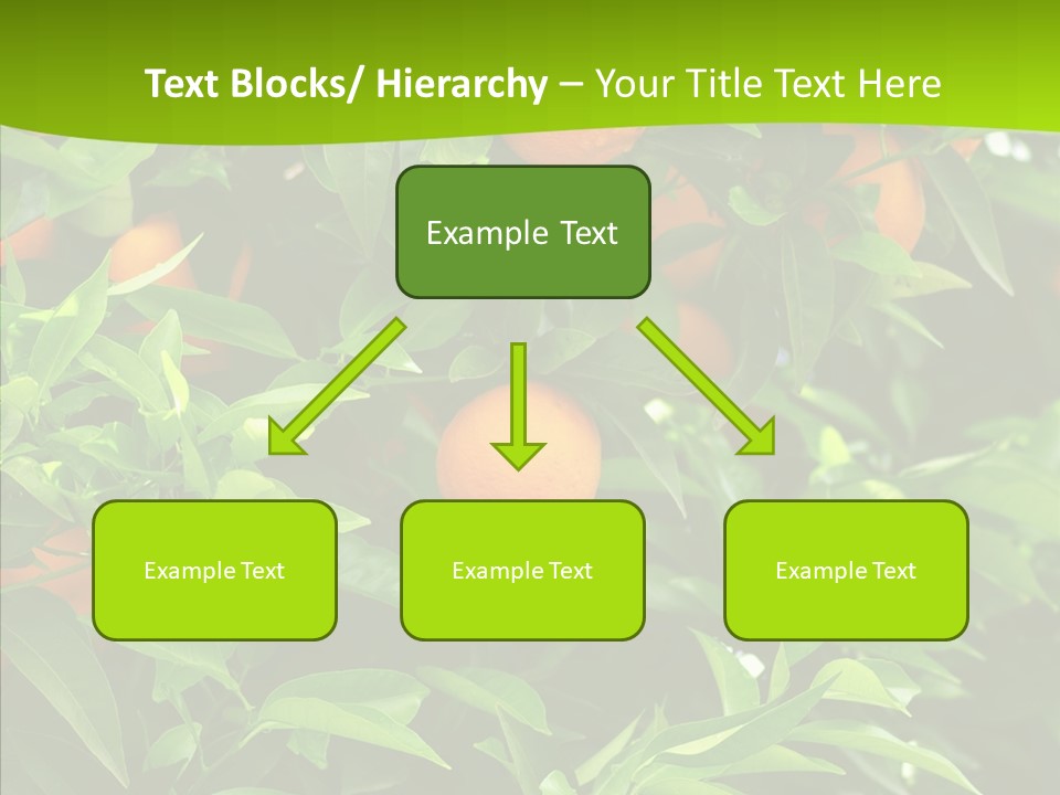 Citrus Growers Farm PowerPoint Template