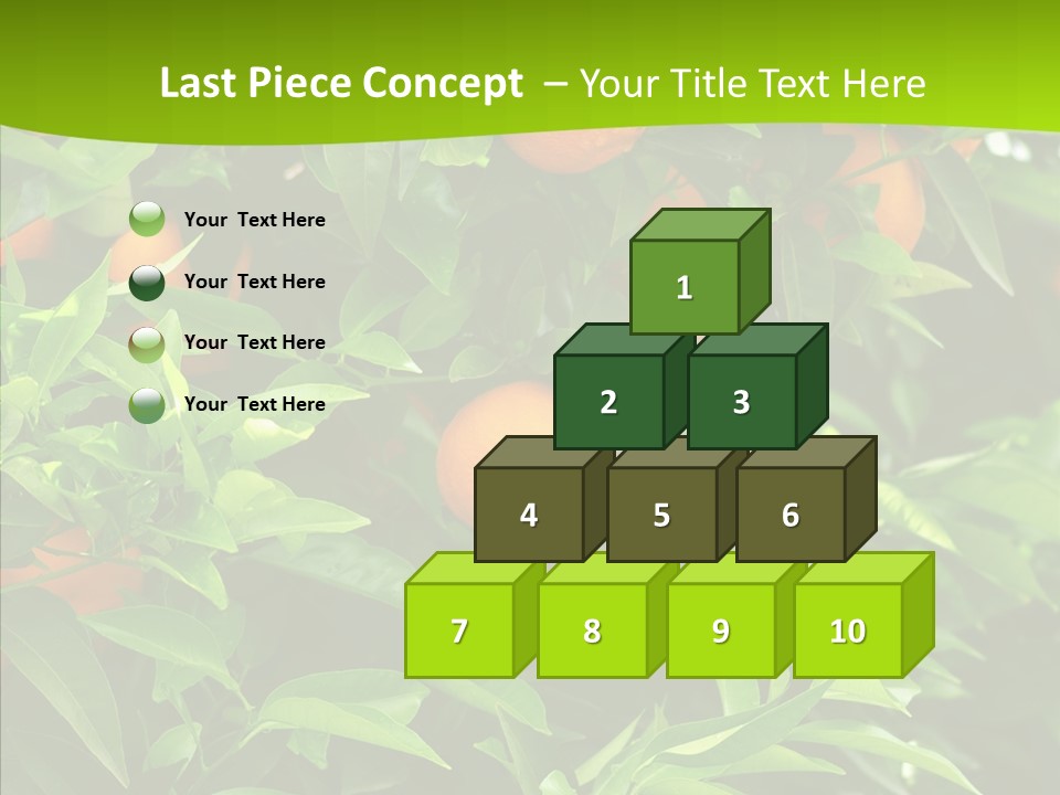 Citrus Growers Farm PowerPoint Template