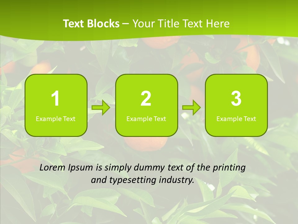 Citrus Growers Farm PowerPoint Template