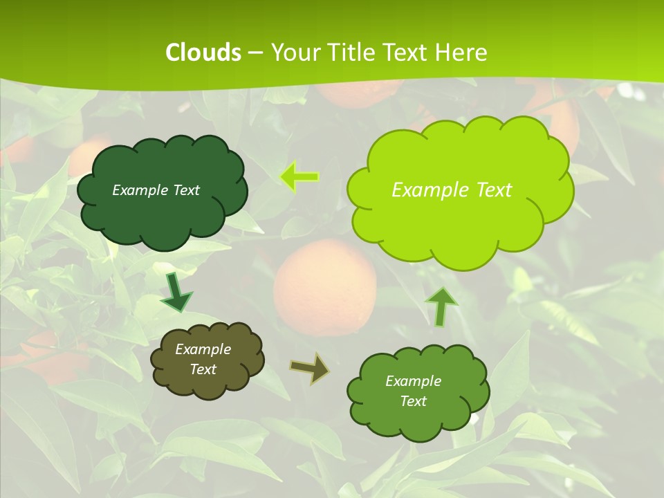 Citrus Growers Farm PowerPoint Template