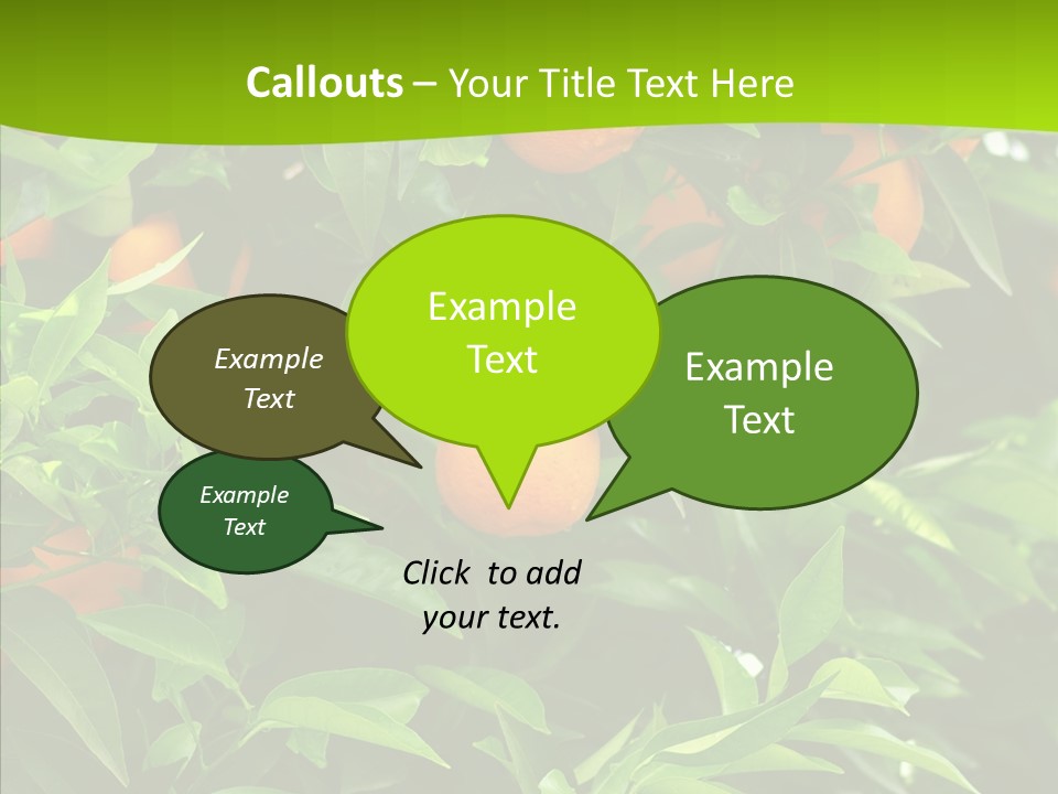 Citrus Growers Farm PowerPoint Template