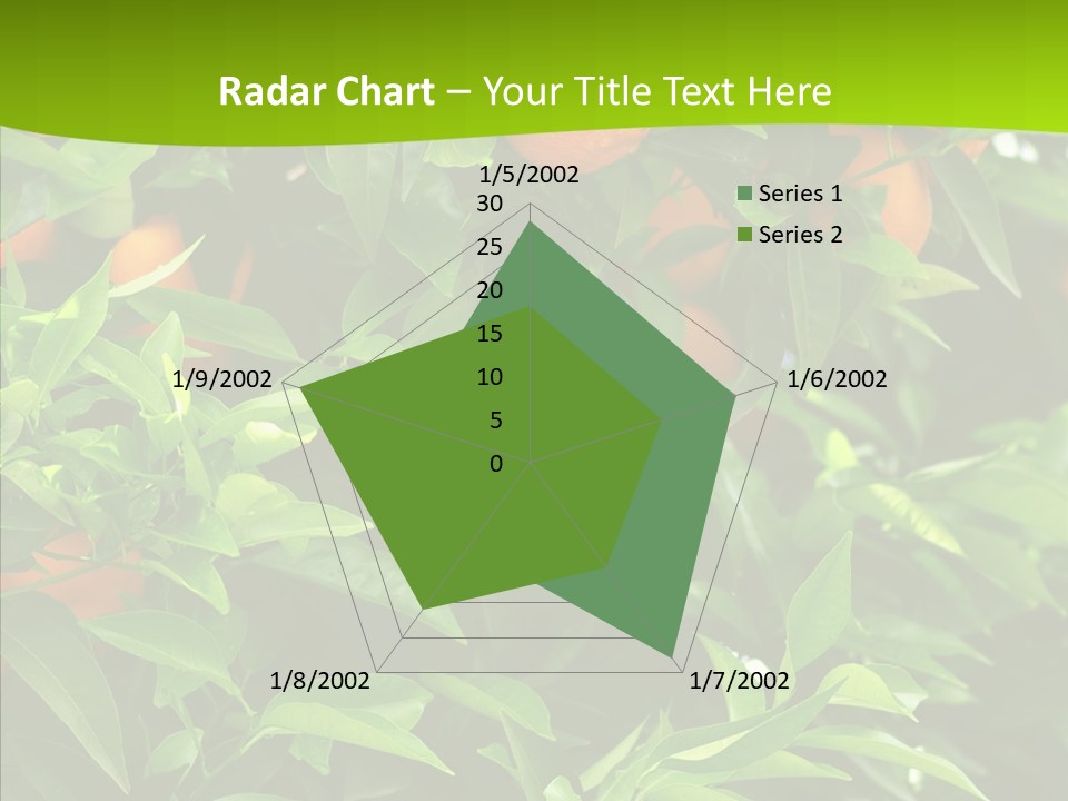 Citrus Growers Farm PowerPoint Template