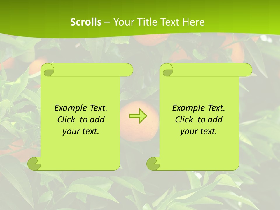Citrus Growers Farm PowerPoint Template