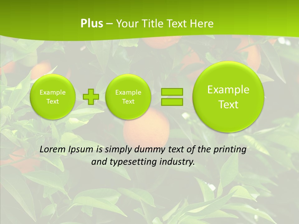 Citrus Growers Farm PowerPoint Template