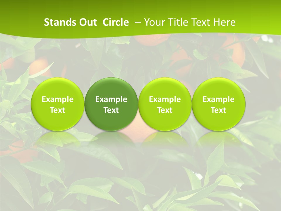 Citrus Growers Farm PowerPoint Template