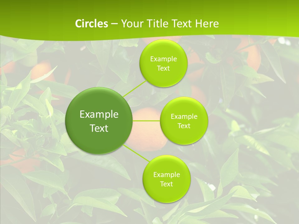 Citrus Growers Farm PowerPoint Template