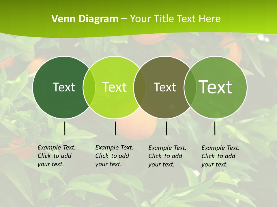 Citrus Growers Farm PowerPoint Template