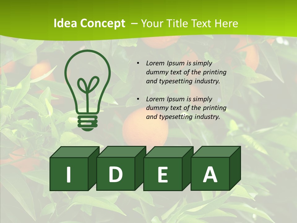 Citrus Growers Farm PowerPoint Template
