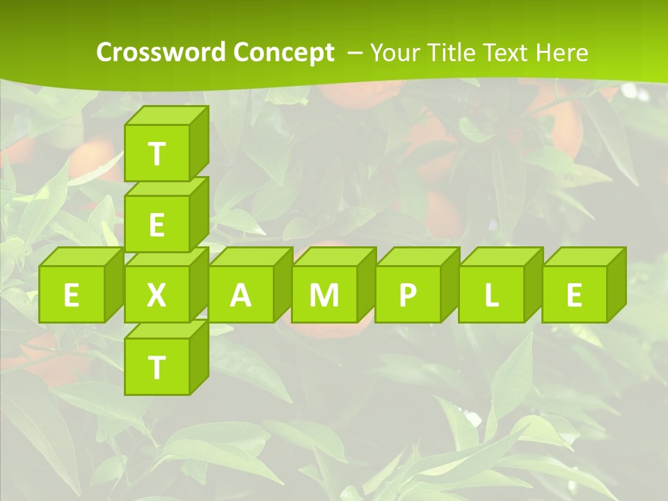 Citrus Growers Farm PowerPoint Template