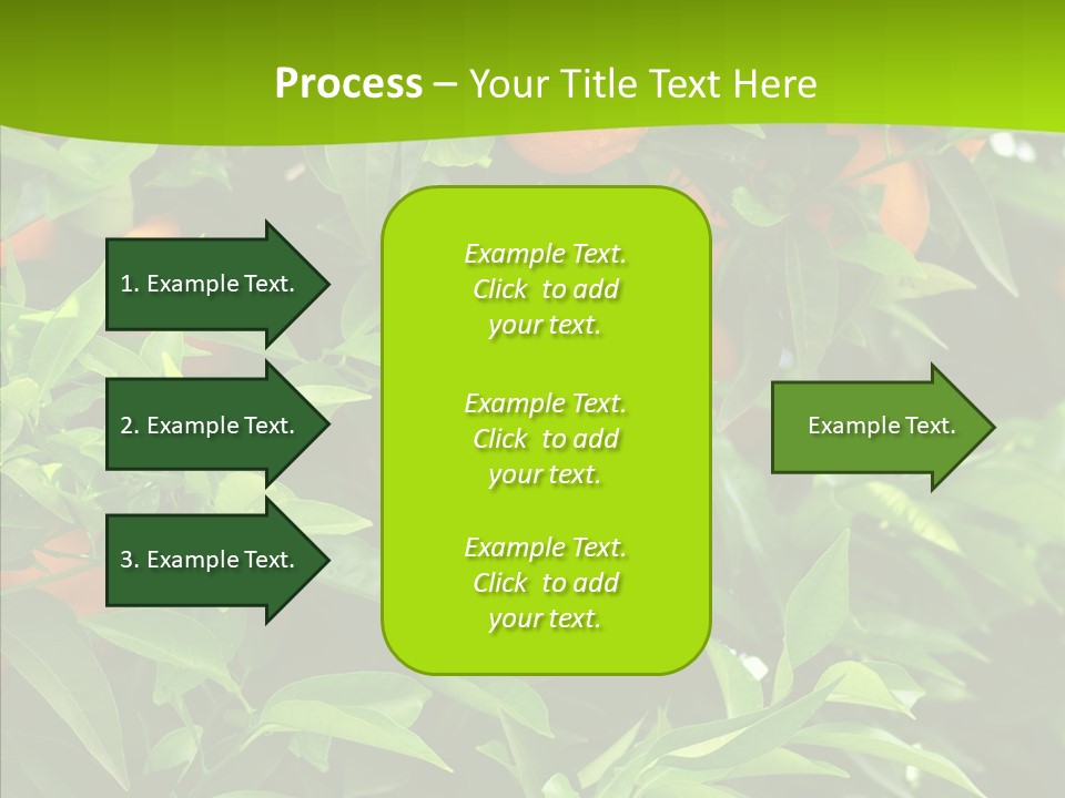 Citrus Growers Farm PowerPoint Template