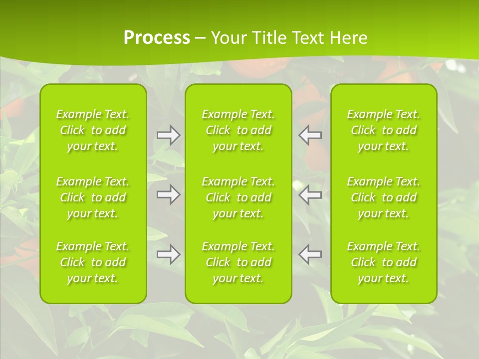 Citrus Growers Farm PowerPoint Template