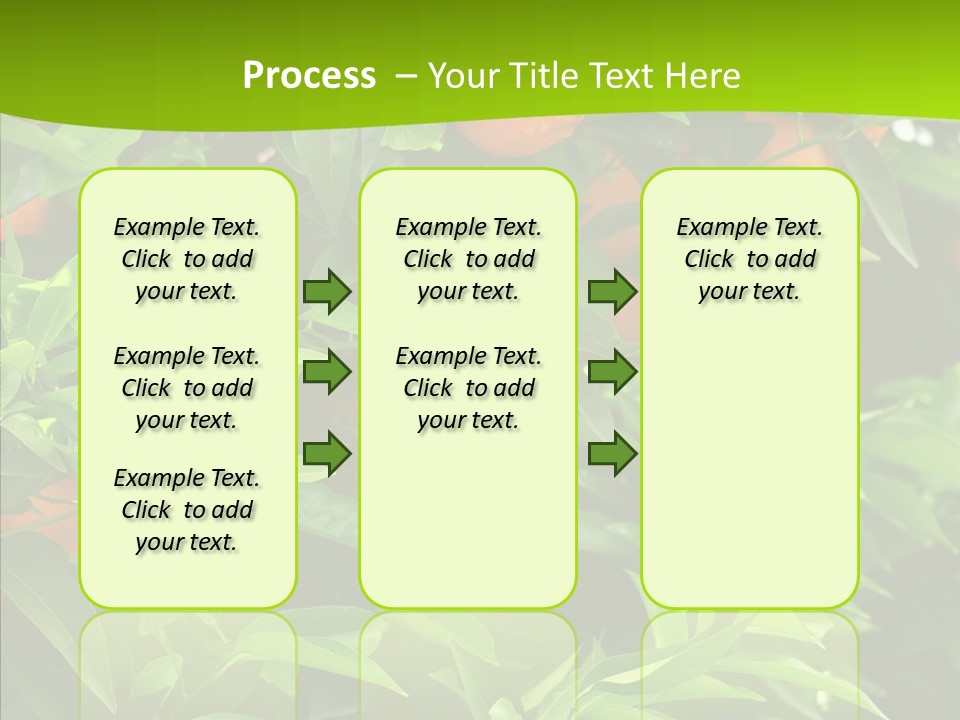 Citrus Growers Farm PowerPoint Template