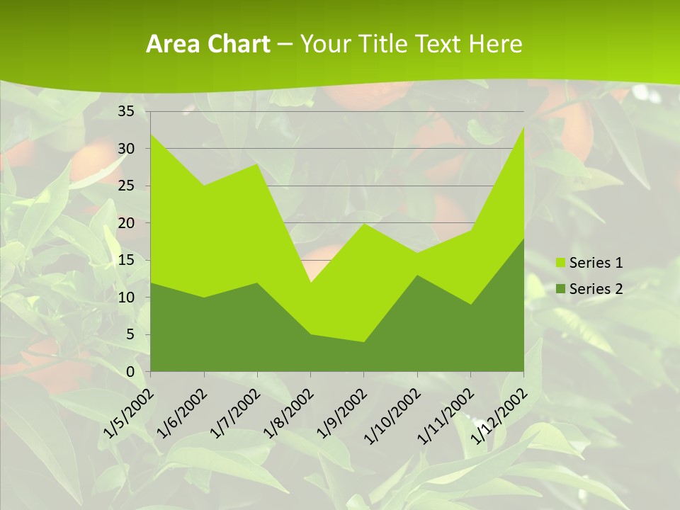 Citrus Growers Farm PowerPoint Template