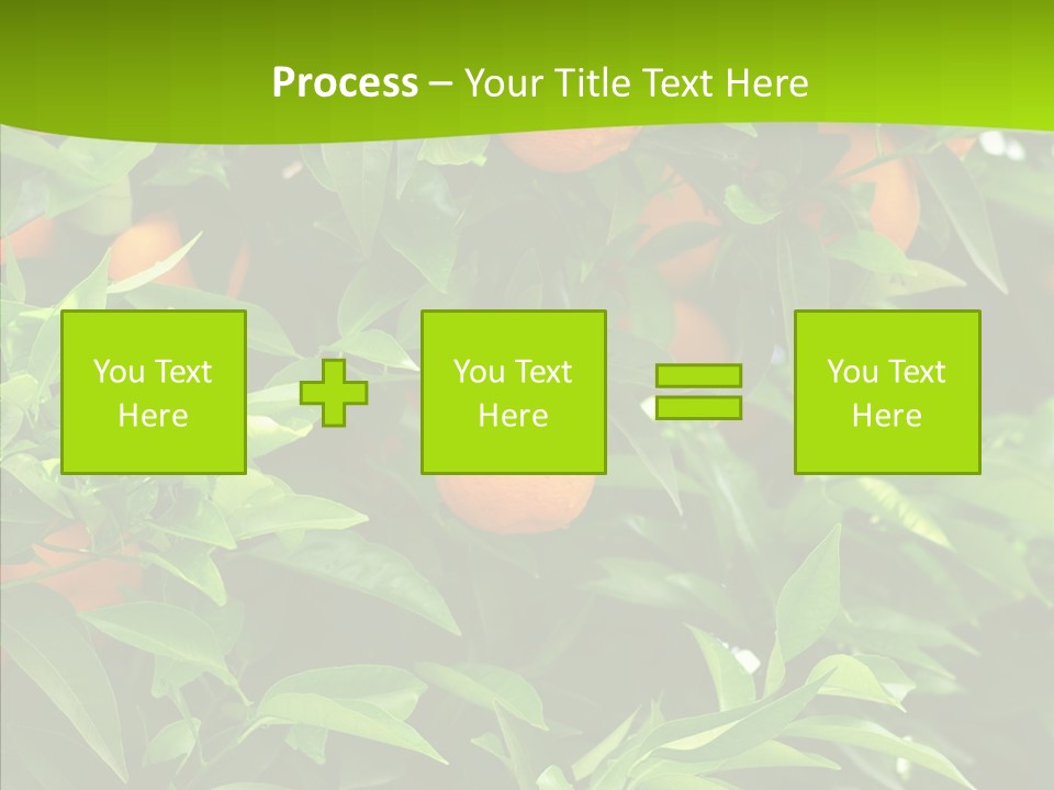 Citrus Growers Farm PowerPoint Template