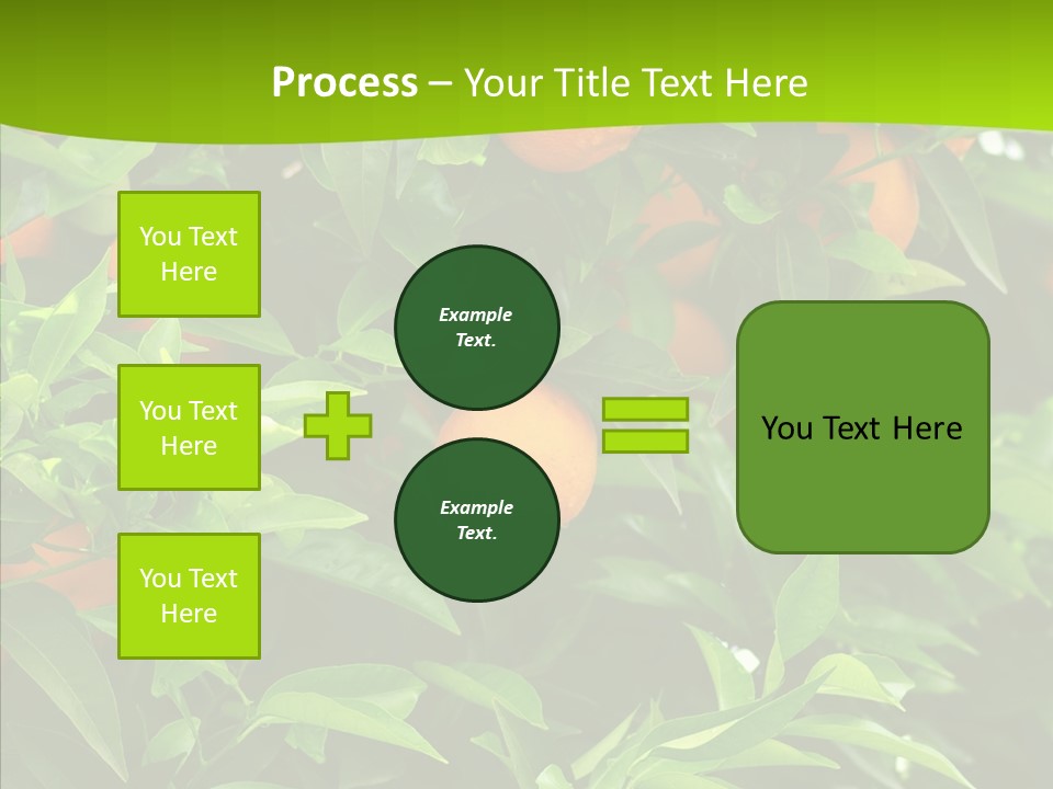 Citrus Growers Farm PowerPoint Template