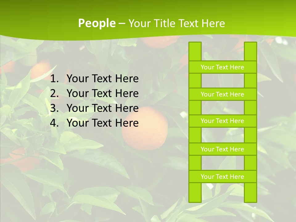 Citrus Growers Farm PowerPoint Template