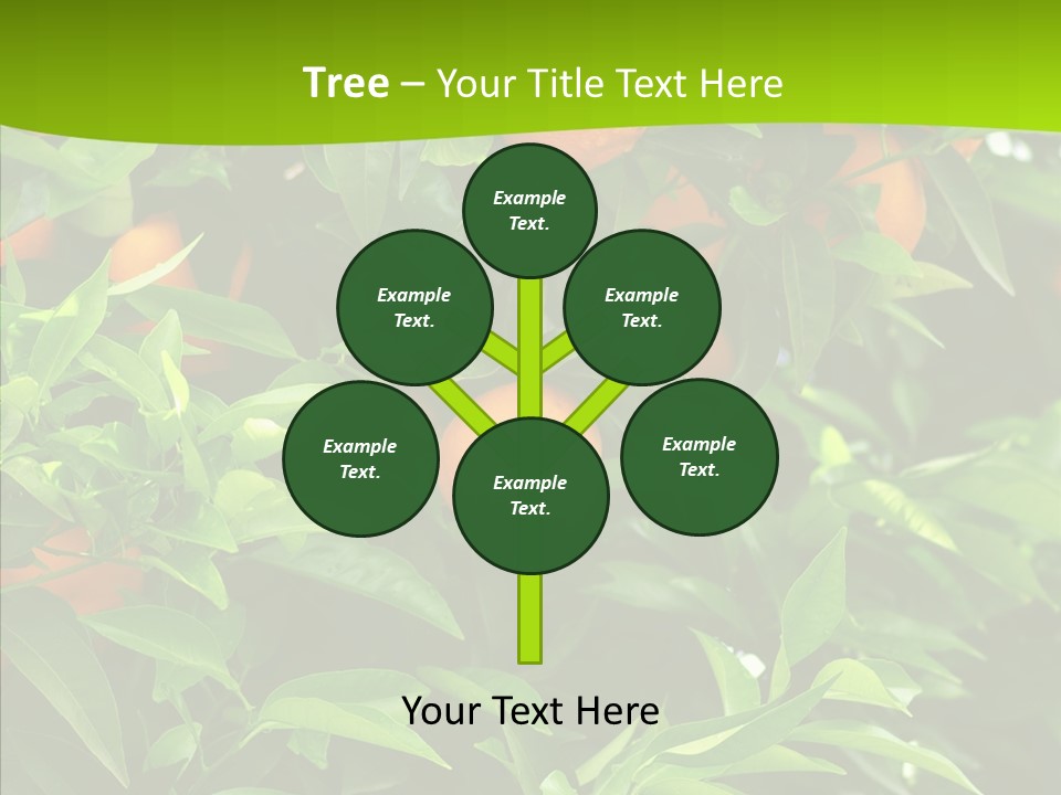 Citrus Growers Farm PowerPoint Template