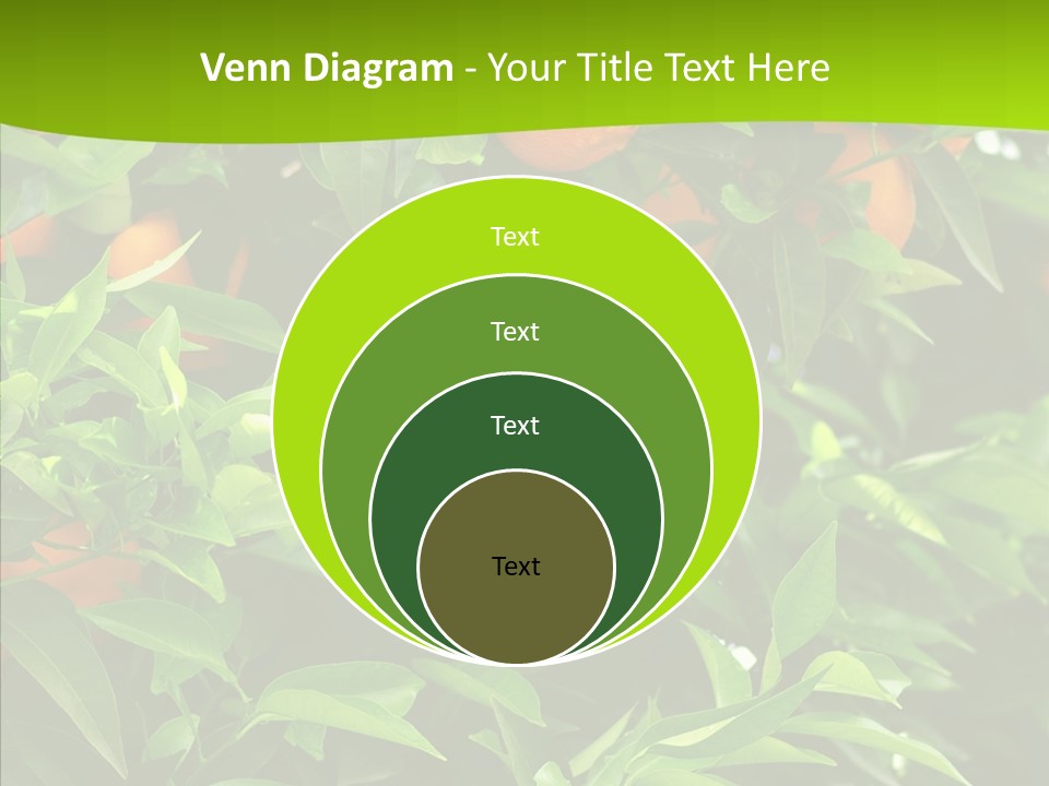 Citrus Growers Farm PowerPoint Template