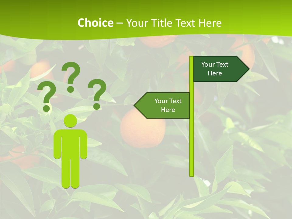 Citrus Growers Farm PowerPoint Template