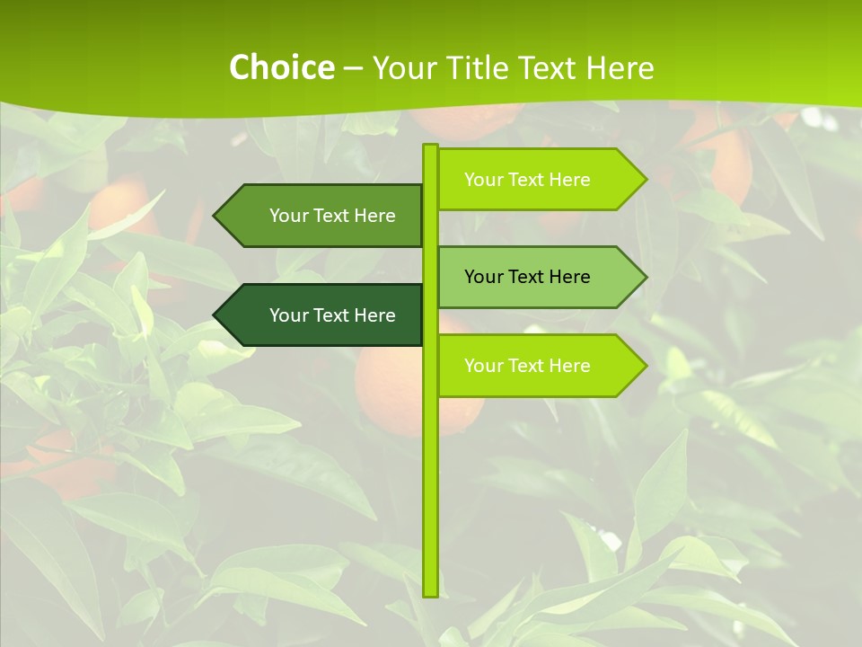 Citrus Growers Farm PowerPoint Template