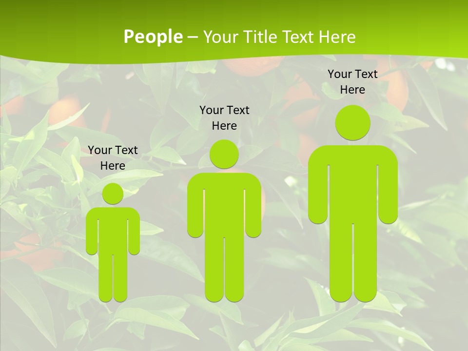 Citrus Growers Farm PowerPoint Template