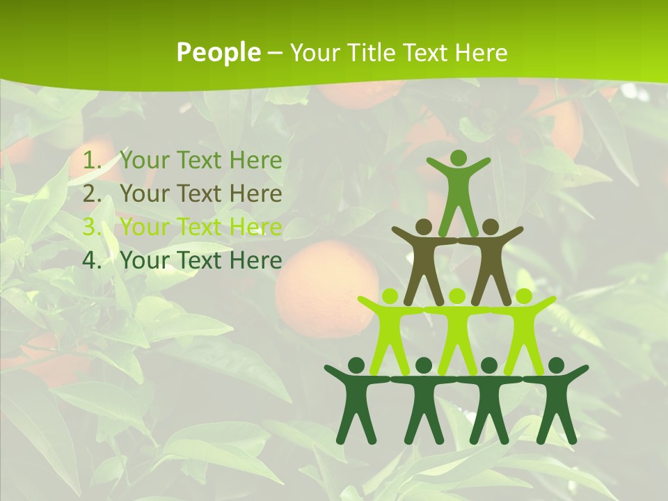 Citrus Growers Farm PowerPoint Template