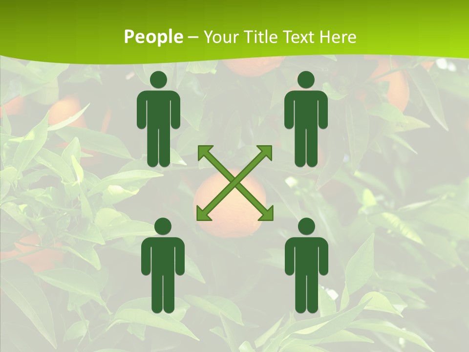 Citrus Growers Farm PowerPoint Template