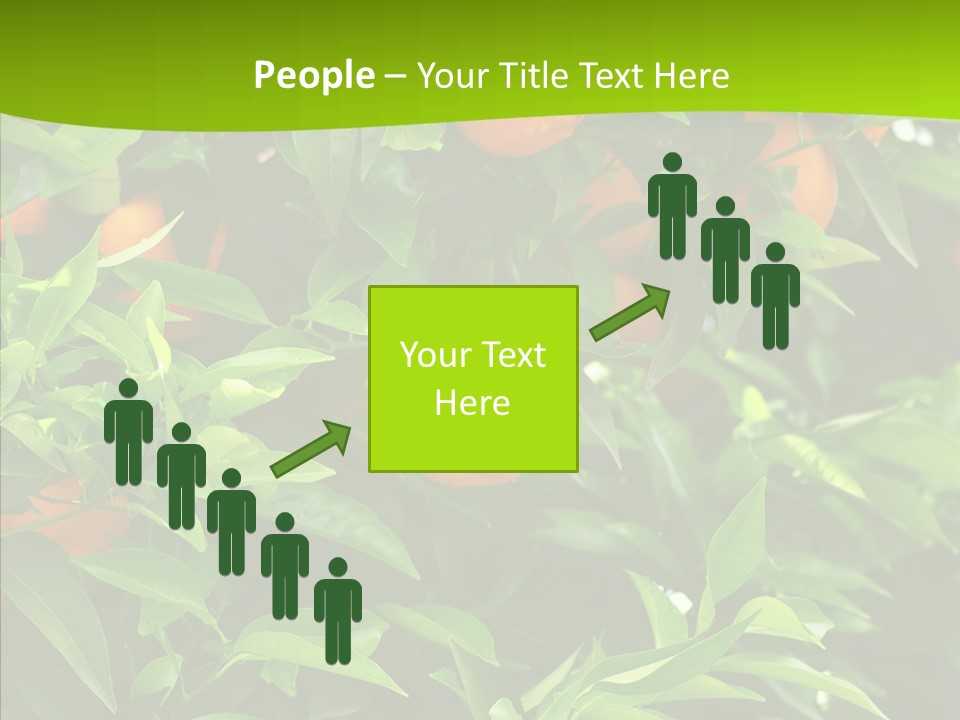 Citrus Growers Farm PowerPoint Template
