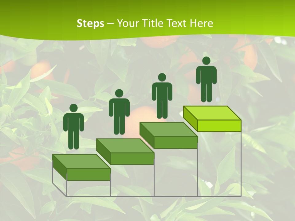 Citrus Growers Farm PowerPoint Template